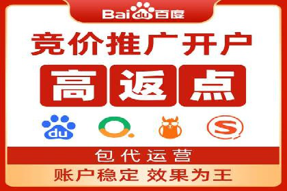 百度竞价广告成功案例：如何实现ROI最大化